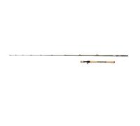 Abu Garcia Beast Pro2 Casting Rod 7'3" 50-150g 1+1sec