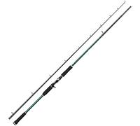 Abu Garcia Beast X Casting Rod, Baitcasting Fishing Rod, Spincasting rods, Predator Fishing, Pike, Perch, Zander, Trout, Unisex, Black, 2.54m | 60-220g