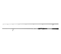 Abu Garcia Beast X Spinning Rod, Freshwater Angler Fishing for Pike Perch & Zander, Strong Leightweight & Versatile, Green, Fast Ambidextrous Carbon Rod
