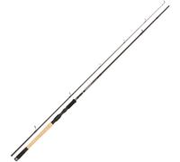 Abu Garcia Tormentor Spinning Rod 10' 10-40g