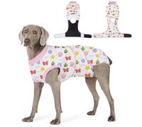 Abuandi Recovery Suit for Dogs After Surgery, Professional Dog Surgical Suit for Female Spay, Male Neuter, E-Collar & Cone Alternative Dog Onesie for Abdominal Wounds Skin Disease, Jellyfish, L