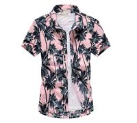 ABUCIYO Fashion Mens Short Sleeve Shirt Fast drying Summer Casual Floral Beach Shirts (B,Large)