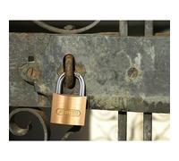 ABUS Mechanical 55 Series Brass Padlock ABUS Mechanical Multicolor