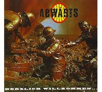 Abwärts - Herzlich willkommen im Irrenhaus