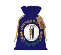 ABYchdd Kentucky State Flag Print Christmas Drawstring Present Bag, Polyester Linen-Like Bag, Reusable Holiday Goodie Bag