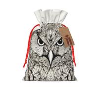 ABYchdd Owls Birds Print Christmas Drawstring Present Bag, Polyester Linen-Like Bag, Reusable Holiday Goodie Bag