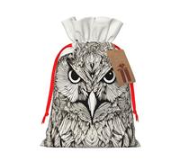 ABYchdd Owls Birds Print Christmas Drawstring Present Bag, Polyester Linen-Like Bag, Reusable Holiday Goodie Bag