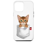 Abyssinian Cat In Pocket Peeking Cute Kitten Cat Case for iPhone 12 Pro Max