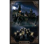 Harry Potter - Hogwarts Castle - Poster Onesize