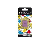 ABYstyle Friends Frame Metal Magnet