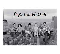 Friends Maxi - Friends Maxi - Poster Onesize