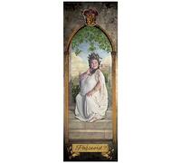 Harry Potter - The Fat Lady Door - Poster Onesize