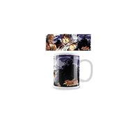 ABYstyle Street Fighter Akuma's Lair Ceramic Mug, 300 ml, Reusable, Dishwasher Safe