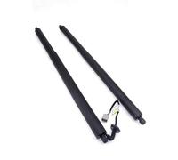 abywrpagg Compatible With Ford For Kuga Mk2 2013 2014 2015 2016 2017 2018 2019 Electric Tailgate Lift Support OEM:CJ54S402A55AC CJ54S402A47AC(Left)