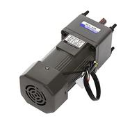 AC 220V Gear Motor 250W with Speed Governor, Mini Gearbox Electric Motors, Adjustable 0-135 RPM, for Industrial/Domestic Applications
