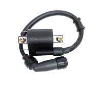 AC CDI Box Replacement For Benelli BJ125-3E BJ125-3 125cc TNT 125 135 QJIANG Left&Right Combination Cap Motorcycle Ignition Coil Voltage(Left)
