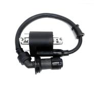 AC CDI Box Replacement For Benelli BJ125-3E BJ125-3 125cc TNT 125 135 QJIANG Left&Right Combination Cap Motorcycle Ignition Coil Voltage(Right)