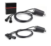 AC CDI Box Replacement For CB650 CB750 CB900 CB1000 1979-1983 Goldwing 1100 1200 GL Nighthawk 650 750 2 Pcs Ignition Coil & Caps