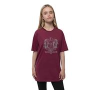 AC/DC Kids T-Shirt Black Ice Band Logo Nue Official Maroon Red Ages 3-14 Years, red, L