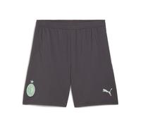 PUMA AC Milan 24/25 Shorts Men, Shadow Grey/Fresh Mint, size Medium