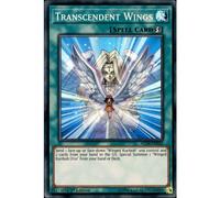 AC19-EN022 1st Ed Transcendent Wings Super Rare Card Advent Calendar 2019 Yu-Gi-Oh Single Card