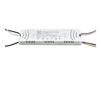 AC220V Intelligent Remote Control LED Driver 24-40W 40-60W 2.4G Control LED Power Supplies 230mA Constant Current Drivers(40-60W-4)