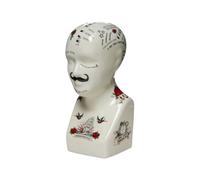 AcaciaHome Stylish Porcelain L.N. Fowler Phrenology Head with Crackle-Glaze Finish - Vintage Ceramic Bust from China for Collectors, Educators, or Antique Medical Display Decor (8" Head)