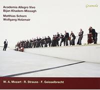 Academia Allegro Vivo - Allegro Vivo