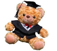Academic Celebration Bear Soft Plush Customizable Graduation Bear Various Educational Levels
