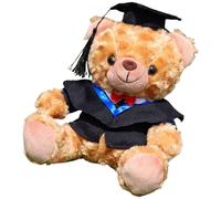 Academic Celebration Bear Soft Stuffed Animals Customizable Graduation Bear Plush Various Education Levels College Degree Celebration