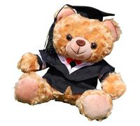 Academic Celebration Bear Soft Stuffed Animals Customizable Graduation Bear Plush Various Education Levels College Degree Celebration
