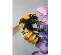 Academic diary 2025-2026 week to view, with Bee artwork by Sally Sturgess: September 25 to August 26. 108 pages and glossy hard back cover. Perfect gift for student or bee lover