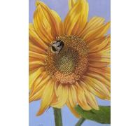 Academic diary 2025-2026 week to view, with Bee on Sunflower artwork by Sally Sturgess: September 25 to August 26. 108 pages and glossy hard back ... bee lover, sunflower lover or wildlife lover