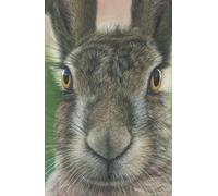Academic diary 2025-2026 week to view, with Hare artwork by Sally Sturgess: September 25 to August 26. 108 pages and glossy hard back cover. Perfect gift for student or hare lover