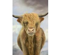 Academic diary 2025-2026 week to view, with Highland Cow artwork by Sally Sturgess: 108 pages and glossy hard back cover. Perfect gift for student or highland cow lover