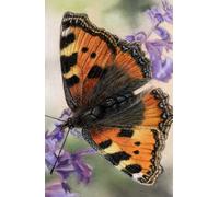 Academic diary 2025-2026 week to view, with Tortoiseshell Butterfly artwork by Sally Sturgess: September 25 to August 26. 108 pages and glossy hard ... student, butterfly lover or wildlife lover