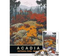 Acadia National Park Hard Jigsaw Puzzle for Adults 1000 Pieces Improve Attention Span And Focus Peaceful Relaxing Leisure Fun (50x75cm)