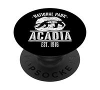 Acadia National Park Hiking Camping Bear Art Maine Vintage PopSockets Adhesive PopGrip