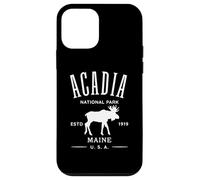 Acadia National Park Maine USA Design Souvenir Case for iPhone 12 mini