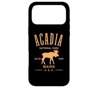 Acadia National Park Maine USA Design Souvenir Case for iPhone 17 Pro Max