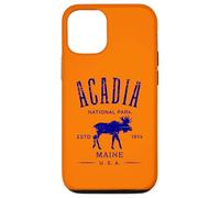 Acadia National Park Maine USA Distressed Design Souvenir Case for iPhone 12/12 Pro