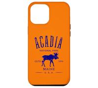 Acadia National Park Maine USA Distressed Design Souvenir Case for iPhone 12 Pro Max