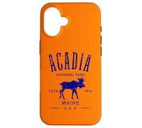 Acadia National Park Maine USA Distressed Design Souvenir Case for iPhone 16