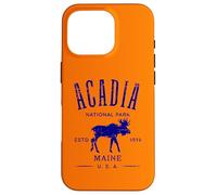 Acadia National Park Maine USA Distressed Design Souvenir Case for iPhone 16 Pro
