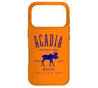 Acadia National Park Maine USA Distressed Design Souvenir Case for iPhone 17 Pro