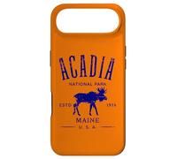 Acadia National Park Maine USA Distressed Design Souvenir Case for iPhone Air