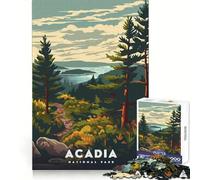 Acadia National Park Poster Jigsaw Puzzles for Adults 1000 Piece Thought Training Slow Leisure Uniform Cut Xmas Present (38X52CM)