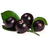 Acai fruit pulp - frozen - packed in 100g sachets - expertly sourced by My Exotic Fruit (2 x 100g)