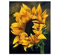 ACANDYL DIY Paint by Numbers Kit for Adults Paint by Numbers Beginner Canvas Painting by Number DIY Acrylic Oil Painting on Canvas Arts Craft Decoration Sunflower 16x20 inch