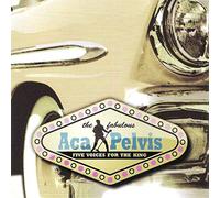 Acapelvis - Five Voices For The King